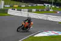 Lower Group Orange Bikes